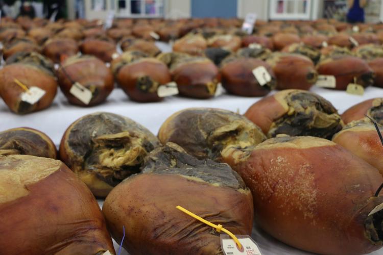 KENTUCKY STATE FAIR 2019 - COUNTRY HAM  (67).jpg