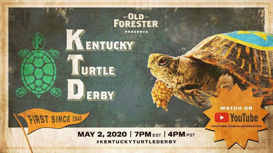 KENTUCKY TURTLE DERBY - AP FILE 2.jpeg