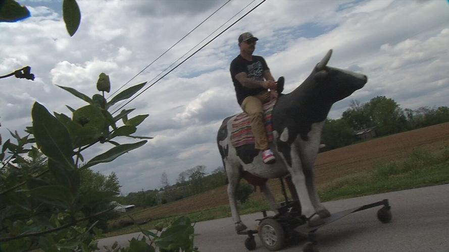 Radio Flyer 4 - Fiberglass cow