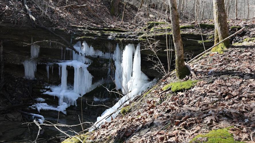 Camberwell Grief Sanctuary in Bedford, Ky.