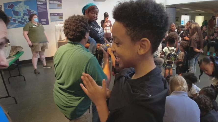 FUTURE HEALERS PARENTS.transfer_frame_6845.jpeg