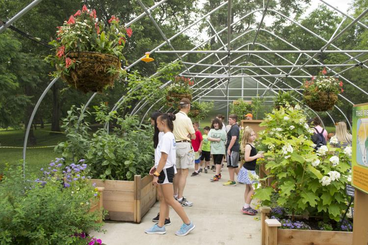 Louisville Zoo Butterfly Exhibit