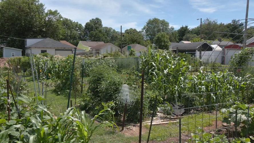 Community garden in Emerson Park - 7.2.24