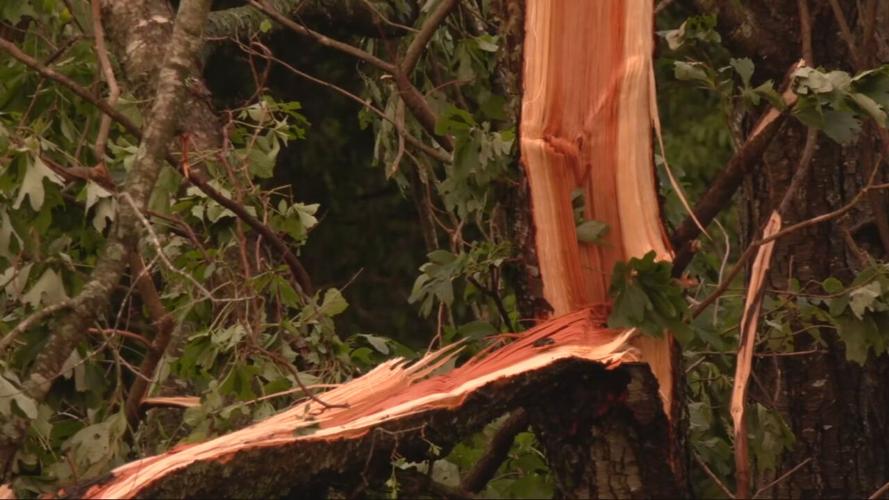 Storm damage in Grayson County, Kentucky