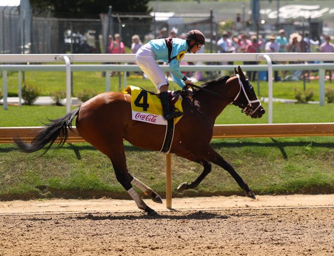 Horse cross finish line.JPG