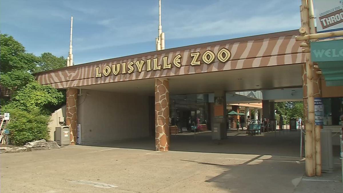 Again over budget, Louisville Zoo will increase some ticket prices and seek out private partner ...