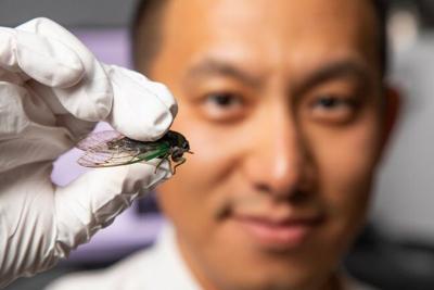 Chuang Qu, a senior research engineer at UofL's J.B. Speed School of Engineering