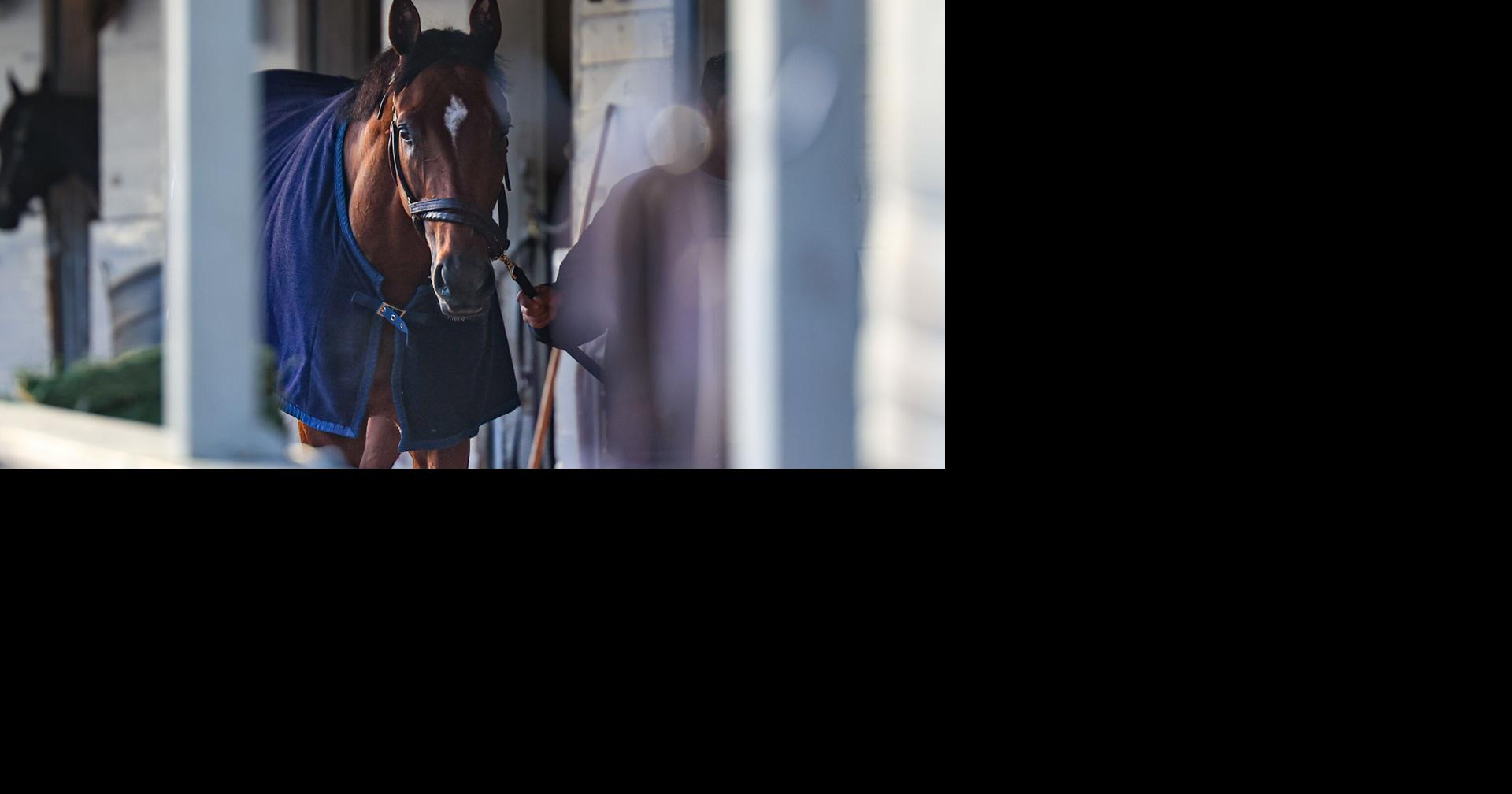 Journalism, Preakness winner and 2025 Kentucky Derby favorite, retired to stud after injury