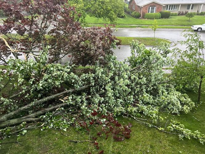 Storm damage in New Albany