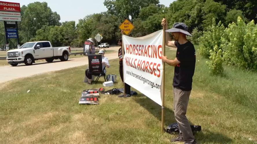 Ellis Park protest (1).jpeg