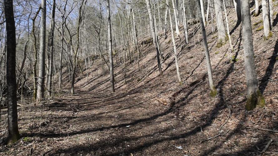 Camberwell Grief Sanctuary in Bedford, Ky.