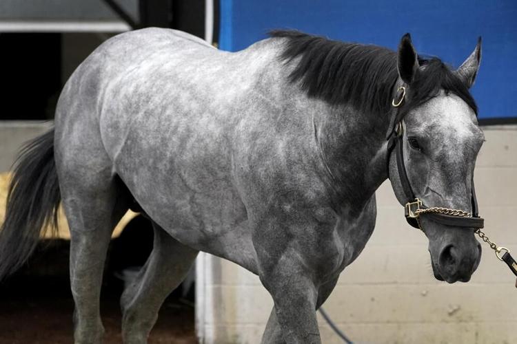 Essential Quality - AP FILE.jpeg