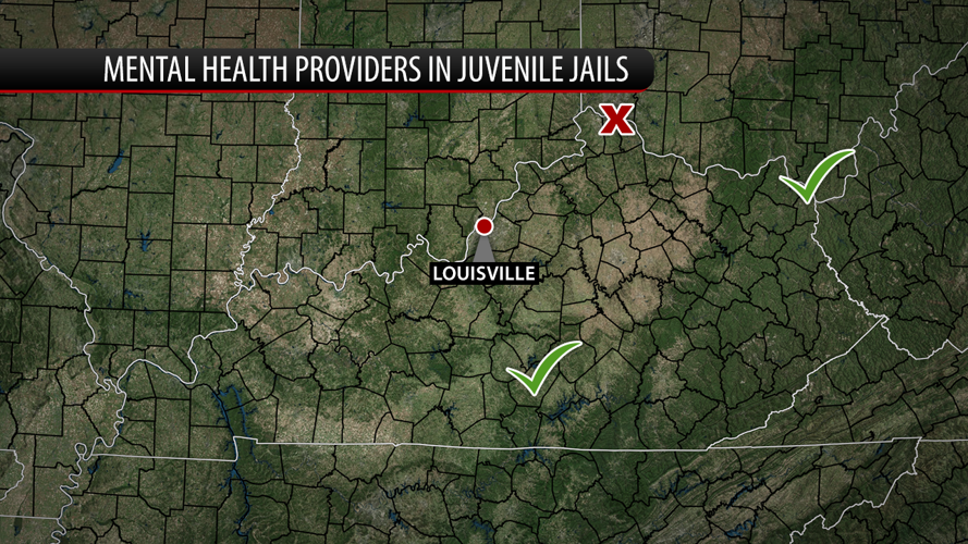 Mental Health Providers in Juvenile Jails
