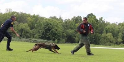 k9 demonstration