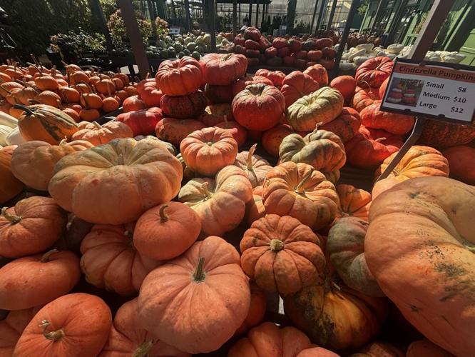 Pumpkins
