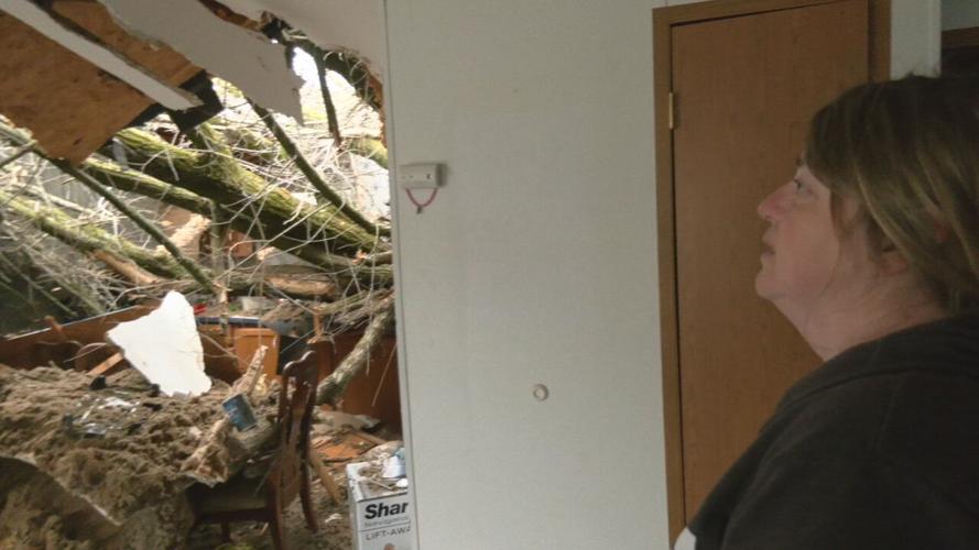 Thursday's tornado in Milton, Kentucky caused this tree to fall through the middle of Jessie Perez's kitchen off Kentucky Highway 36. (WDRB image)