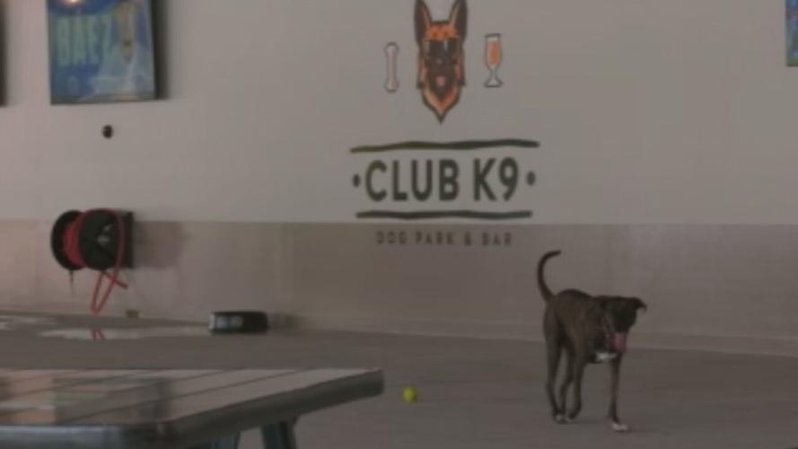 Club K9 Dog Park & Bar