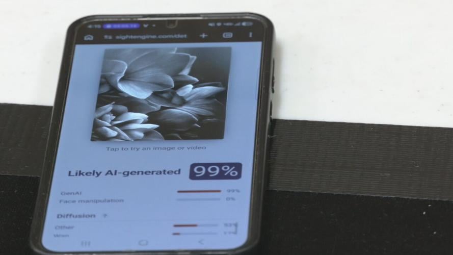 Kentucky State Fair art accused of AI