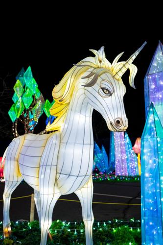 Wild Lights 2026 unicorn