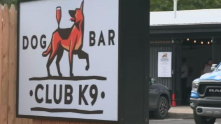 Club K9 Dog Park & Bar