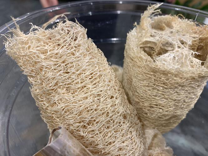 Kaleidoscope Family Festival (10).JPG