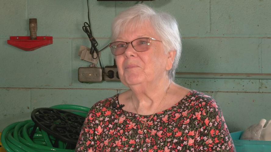 CUB SCOUTS HELP WWII VET