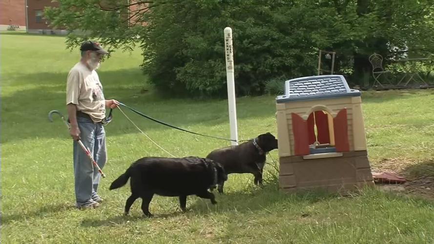Former US Marine Tony Glass with his 2 dogs, Sparkle and Gibbs, after they found a missing 9-year-old boy in Mt. Washington