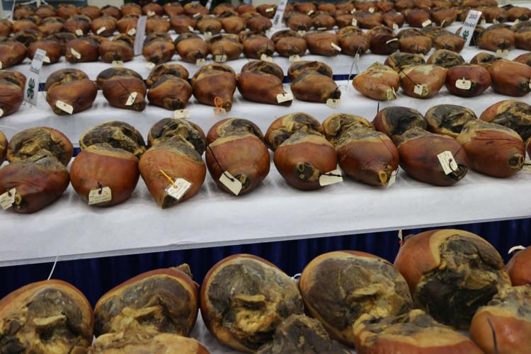KENTUCKY STATE FAIR 2019 - COUNTRY HAM  (68).jpg