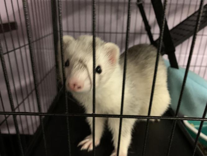 BOYS & GIRLS HAVEN - EQUINE PROGRAM - KK - 10-9-2020  (1).JPG