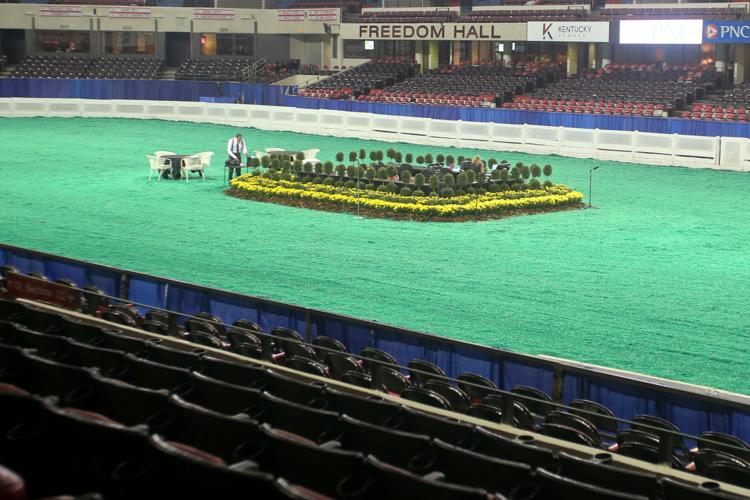 WORLD CHAMPIONSHIP HORSE SHOW 2018 - FREEDOM HALL  (1).jpg