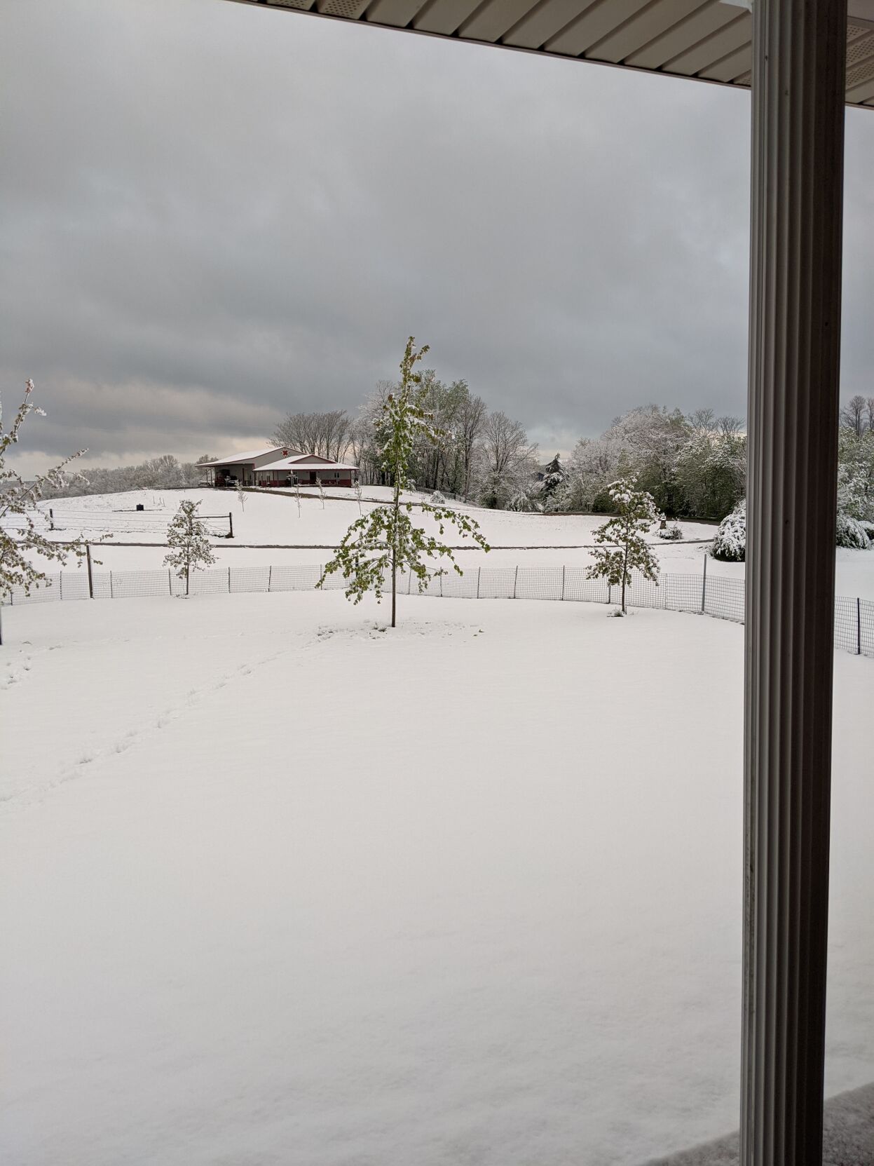 Snow in Caroll County.jpg