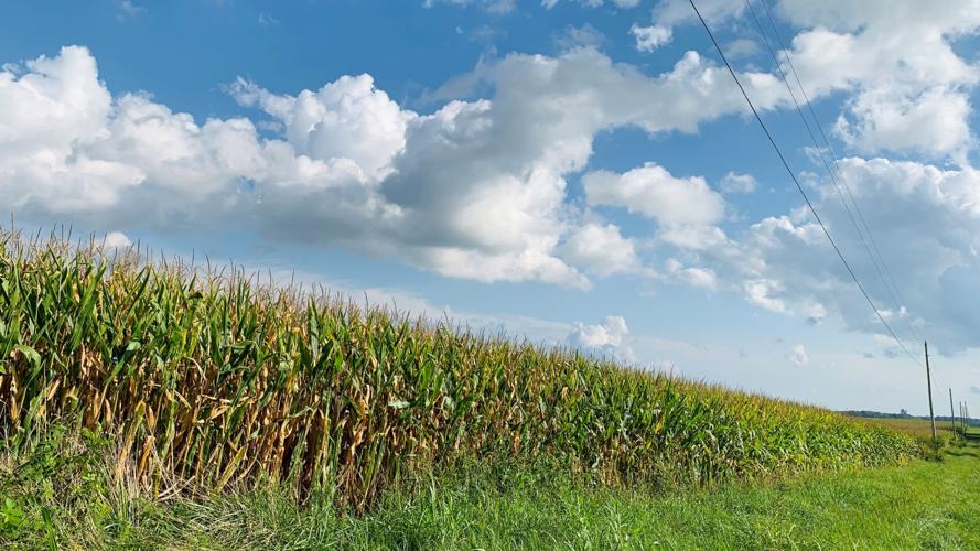 Glendale Megasite 1.jpg