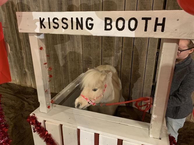 VALENTINE MINIATURE HORSES - KEITH KAISER 2-3-2020  (2).jpeg