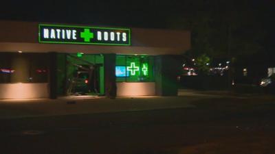 Would-be marijuana thieves in Colorado make off with oregano instead