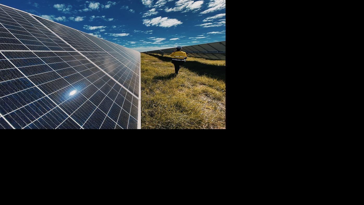 CANADIAN SOLAR - PANELS - COURTESY.jpg