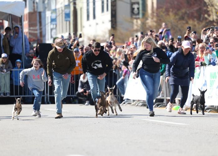 People run as goats follow them.JPG