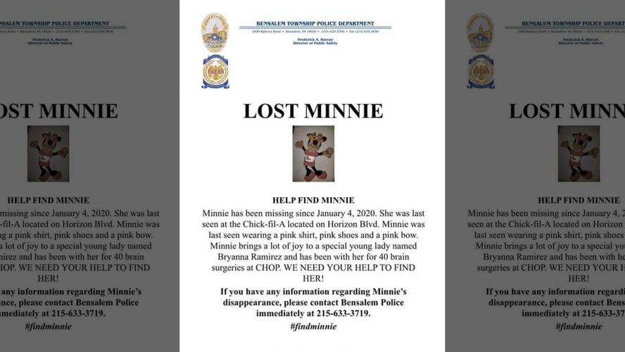 Lost Minnie Flyer