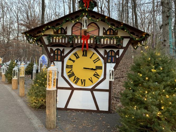 Winter Woods Spectacular (22).JPG