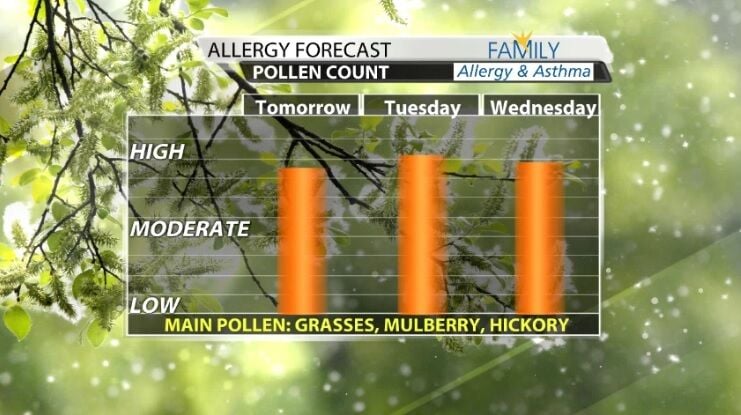 pollen.jpg