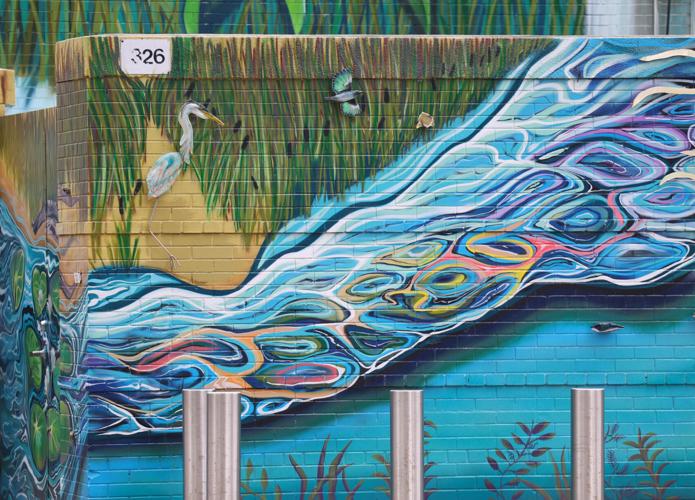 Nature mural in downtown Louisville.JPG