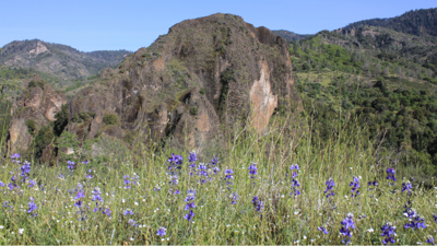 Here's a look at NOAA's Spring Outlook