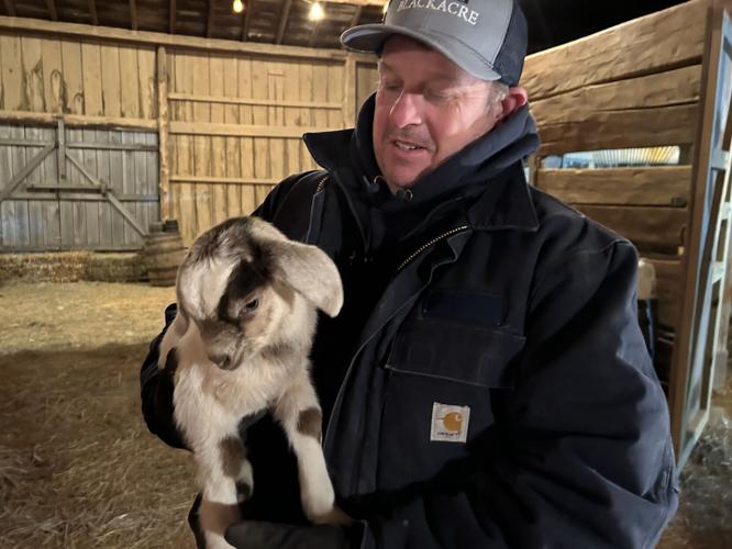 Goats at Blackacre State Nature Preserve & Historic Homestead