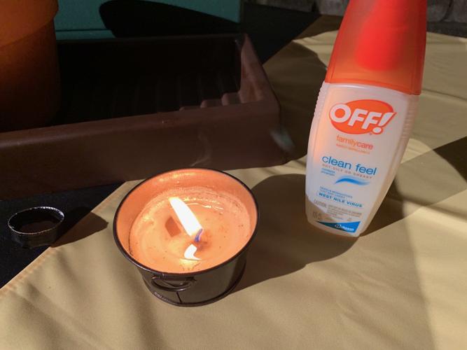 Mosquito Keith Kaiser 6-25-19