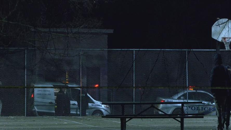 CALIFORNIA PARK SHOOTING