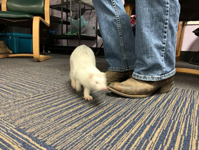 BOYS & GIRLS HAVEN - EQUINE PROGRAM - KK - 10-9-2020  (2).JPG