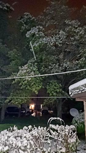 Snow in Edwardsville.jpg