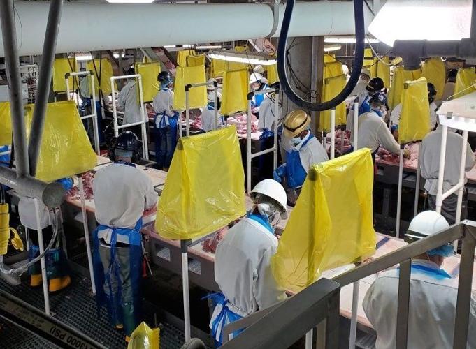 JBS pork plant interior company photo