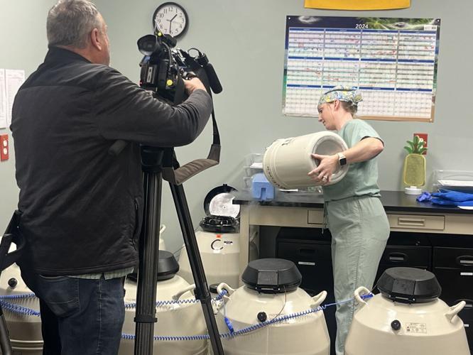 IVF at Kentucky Fertility Institute