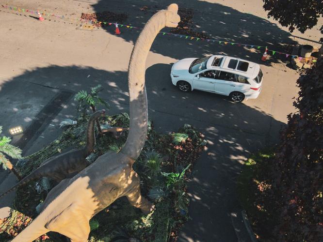 Dinosaur Adventure.jpg