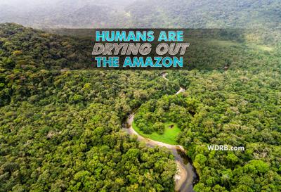 Humans Are Drying Out the Rainforest